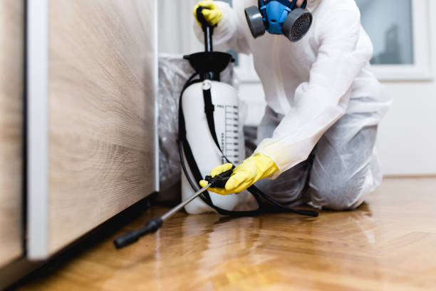 Best Flea Control Services  in Hicksville, NY