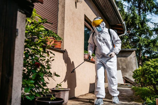 Best Rat Extermination Near Me  in Hicksville, NY