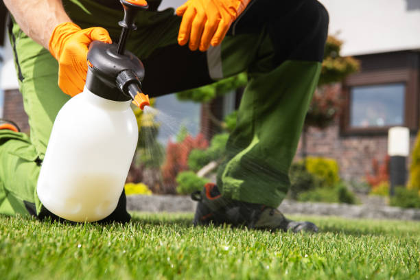 Best Best Pest Control Companies  in Hicksville, NY
