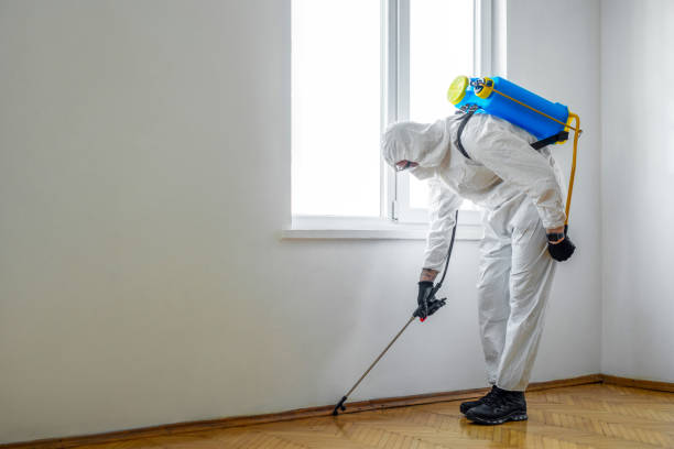 Best Pest Removal Services  in Hicksville, NY