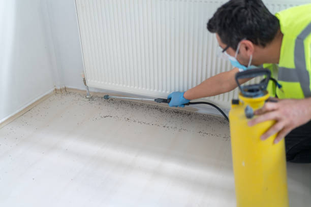 Best Best Pest Control Companies  in Hicksville, NY