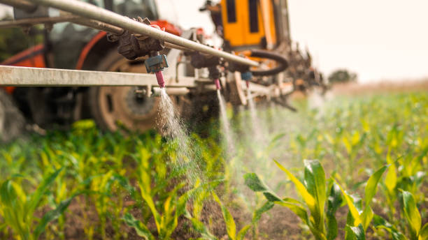 Pest Prevention Services in Hicksville, NY