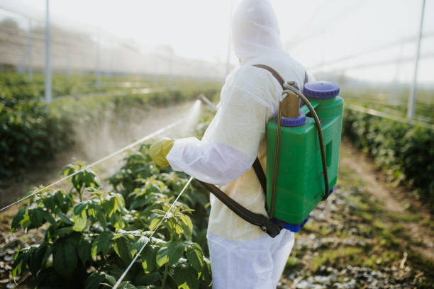 Best Emergency Pest Control  in Hicksville, NY